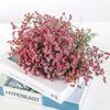 Ins Net vermelho Buquê natural seco de algodão, flor de espiga de trigo, flor real, arranjo de flores frescas para sala de estar, ornamentos decorativos, silvicultura e