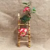 Decoración de Presentación de Sashimi Japonés Valla de Tejido de Bambú Exhibidor de Mariscos Cesta de Tejido de Seda de Bambú Tubo de Bambú Balsa de Bambú Herramientas de Presentación