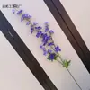 Flor Artificial Rama Alta de 3 Puntas Delphinium Jacinto Decoración de Salón de Bodas Flor Falsa Flor Artificial Suministro Transfronterizo