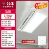 Calentador de Baño Bull Brand con Iluminación Integrada, Calentador de Baño de Techo con Iluminación Integrada