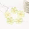 Pétalos de Flor de Begonia Simulados de 4 cm Decoración para Ropa del Hogar Set de Boda Guirnalda de Flores Artificiales Accesorios Cortados