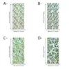 Pegatina de Vidrio de Película de Color Electrostática con Hojas Verdes de Primavera Transfronteriza, Pegatina de Ventana Translúcida Opaca, Pegatina de Ventana con Efecto Deslumbrante Láser Arcoíris