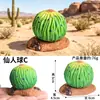 Camello del Desierto Simulado, Cascabel, Zorro Fennec, Lagarto, Cactus, Modelo de Reptil, Juguete de Micro Paisaje