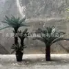 Planta en Maceta Árbol de Hierro Simulado Redes Sociales Planta Verde Falsa Decoración de Sala de Estar Adornos Cícada Pequeña Paisajismo Interior Modelado Bonsái Suelo