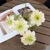 Flores de Clematis, Flores de Cordyceps, Flores Gesang de Cuatro Cabezas, Arte Floral con Gradiente de Dos Tonos, Decoraciones de Boda en el Jardín de Monet, 15 Colores Disponibles