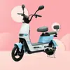 Fabricante de Fonte de Bicicleta Elétrica Transfronteiriça