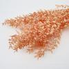 Folhas ricas branqueadas flor eterna flor seca buquê de flores diy material casamento fotografia floral adereços fábrica atacado