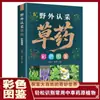 Identificación de Campo de Hierbas Medicinales con Ilustraciones Coloridas, Identificación Fácil de Hierbas Medicinales Chinas de Uso Común, Plantas Originales, Libro de Salud de Medicina Tradicional China