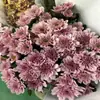 Atacado de Flores Margaridas Multicabeça, Entrega Direta de Yunnan, Cestas de Flores, Buquês, Arranjos para Vaso em Casa, Exposição em Banca, Compra em Grupo, Dropshipping de Uma Peça