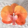 Cabezas de flores artificiales de orquídea mariposa, materiales para flores de pared, materiales para pasadores y accesorios para el cabello hechos a mano para DIY, piezas de flores y accesorios de pétalos para decoración de bodas