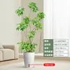 Forma Pie de Pato Madera Sala de Estar Maceta Grande Planta Verde Interior Sala de Estar Grande de Pie Flor Real Pila Vieja Pie de Pato Madera