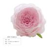 Simulação Austin Rose Cabeça Decoração de Casamento Estrada Flor Parede Arco Flor de Seda Artificial Flor Falsa Fundo Internet Parede Vermelha