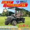 Carrito de Golf Eléctrico, Vehículo Turístico de Cuatro Ruedas para Paseo, Venta Directa de Fábrica, Exportación de Comercio Exterior, 4 Plazas, Transfronterizo