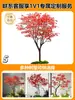 Simulação Árvore Bordo Vermelho Paisagismo Bordo Japonês Luxo Leve Atmosfera Japonesa Significado Zen Árvore Artificial Paisagismo Interno Novo Estilo Chinês