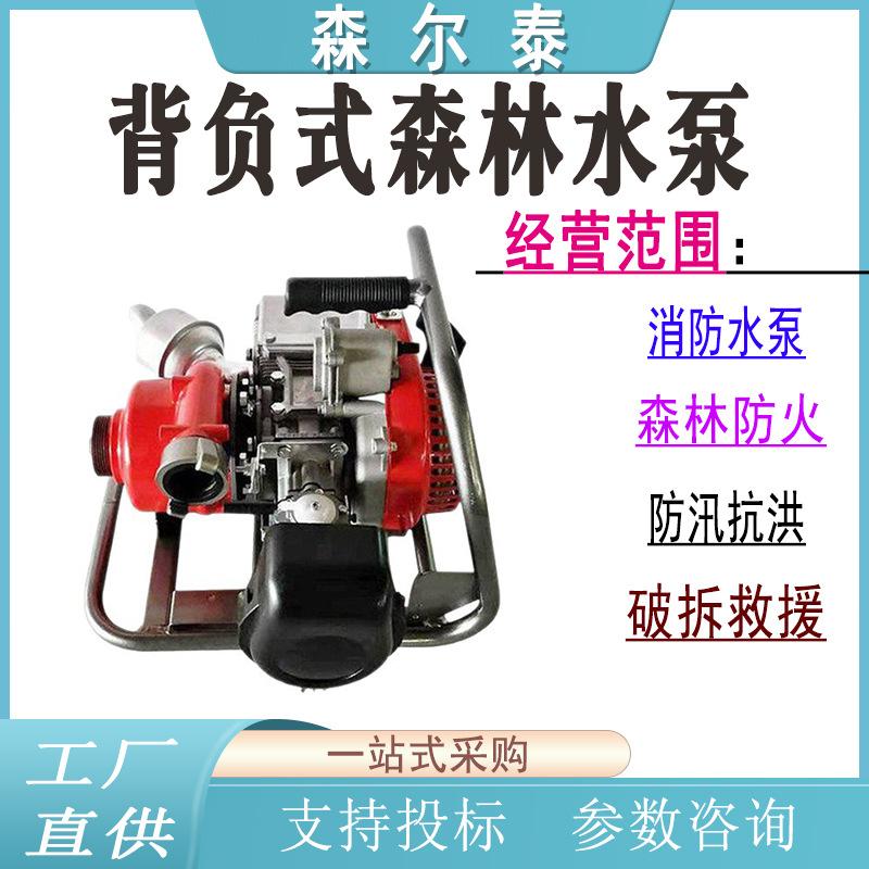 背负式森林水泵