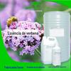 Shampoo com Fragrância de Verbena, Sabão para Lavar Roupa, Vela, Perfume, Aromaterapia, Fragrância Fresca, Uso Diário de Longa Duração, Fragrância de Longa Duração