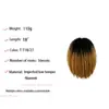Fábrica Directa Exportación Transfronteriza Europea, Americana, Africana Cabello Rizado de Oruga Pelucas Sintéticas Fibra de Baja Temperatura Venta Directa Más Vendida