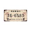 Nova placa de licença 1530 placa de licença Vintage Tin Painting American Background Wall Frameless Decorative Hanging Painting