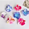 Cabeça de Flor Phalaenopsis para Simulação Filme de Impressão 3D Presente de Acompanhamento para Casamento Caixa de Doces Peça Única para Cabelo Grampo de Cabelo Flor Flor Falsa