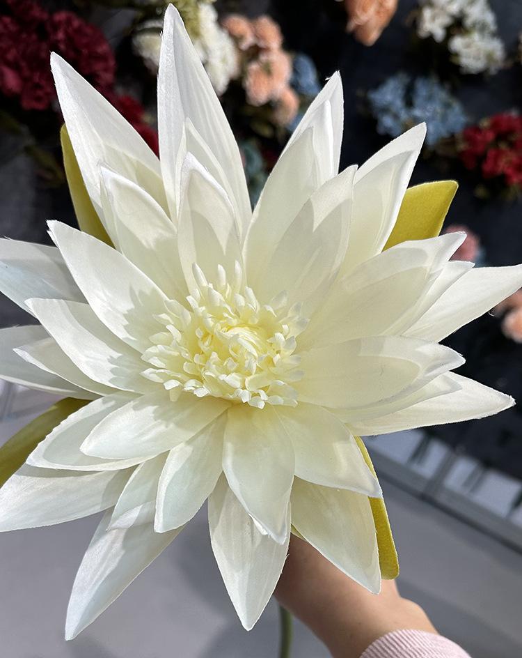 单支富贵荷花-白色.jpg