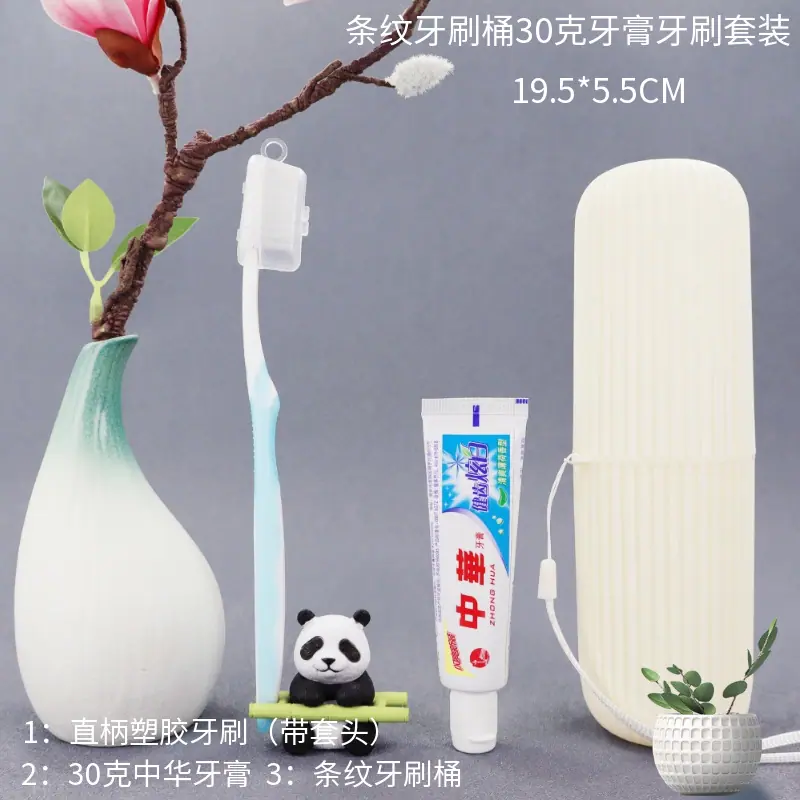 马赛图条纹牙刷桶30克中华牙膏牙刷套装.png