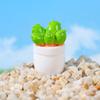 Cacto de brinquedo casa de bonecas casa de boneca mini modelo de planta flor acabada vaso micro ornamentos de paisagem