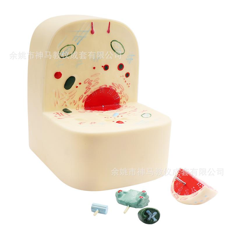 细胞亚显微结构模型-1