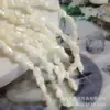 Piedra Triturada Irregular de Caracol Marino y Caracol Herradura, Abalorios Irregulares de Nácar para Collares Hechos a Mano DIY y Accesorios de Decoración para Cortinas de Puerta