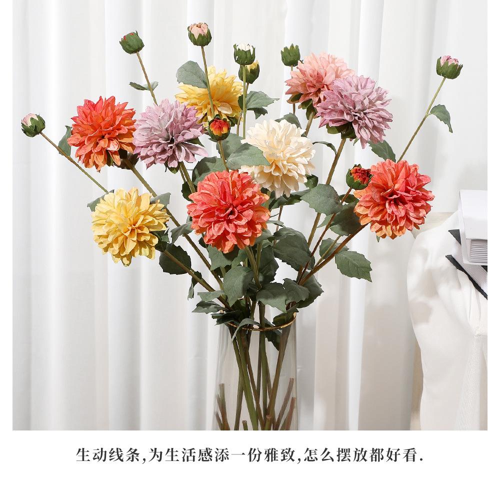 2头迷你大丽花_09.jpg