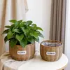 Vaso de flores de imitação de rattan, cesta de flores trançada, cesta de mão, cesta de arranjo de flores secas trançada em rattan, recipiente para flores de plantas verdes suculentas, vaso de flores de imitação de rattan para suculentas
