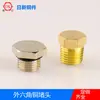 Personalización de Tapón Acampanado de Latón Zhuji, Tapones, Tapones para Tuberías, Tapones Roscados, Tapón Hidráulico Acampanado con Rosca Macho Totalmente de Cobre