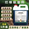 Herbicida de Fosfato de Amonio Ampolium para Limpieza de Terrenos Baldíos, Eliminación de Pasto de Vaca y Otras Malezas Malignas, Agente de Pudrición de Raíz, Pesticida de Fosfato de Amonio Ampolium para Hierba Saltarina