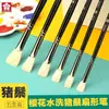 Caneta em forma de leque Haste verde Haste azul Haste preta Juba de porco em forma de leque caneta de pintura a óleo caneta aquarela giz de água pintura conjunto único