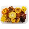 Material para manualidades DIY hecho a mano en caja, material de flor seca inmortal, abanico, tarjeta de felicitación, pegamento de gota, flor natural real, ventas directas de fábrica de Yunnan