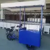 Triciclo Solar para Helados de Exterior con Congelador Incorporado, Carrito Vendedor de Paletas, Puesto Móvil de Bebidas Frías para Puestos de Mercado
