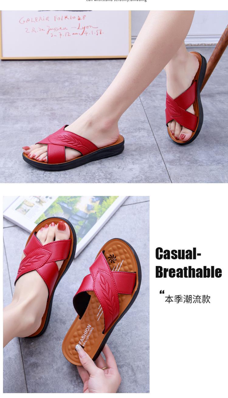 7736d883-cdd3-402a-bdaf-bbb9dbb48fba.jpe