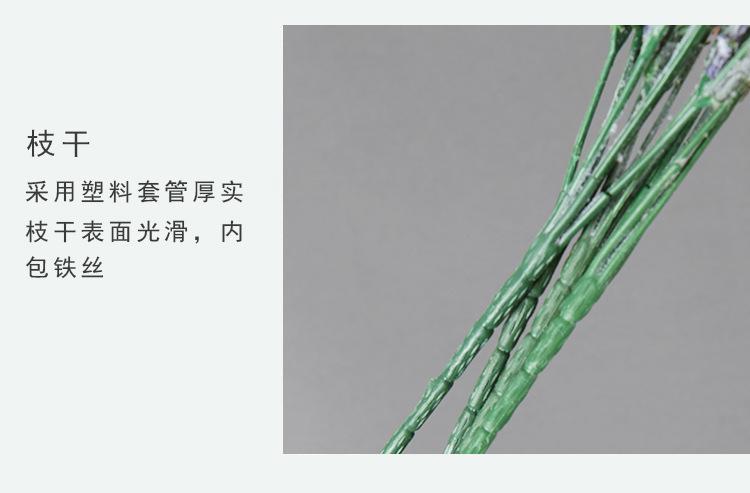 5叉熏衣草
