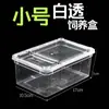 Caja Arbórea Profesional de Doble Apertura para la Cría de Reptiles Grandes, Medianos y Pequeños, Caja Anti-Arañas a Prueba de Escape