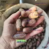 Fruta Longxiang Fruta Original Fragante Fruta Flor Pequeña Fruta Jade Cocina de Sichuan Estofado Estofado Marinada Sazonador Especias Polvo Molible Fruta de Nuez Moscada