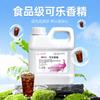 Saborizante Comestible Sabor Cola Marca Peacock Soluble en Agua 1kg Aditivo Alimentario Materia Prima Potenciador de Sabor Saborizante para Hornear