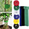 Cinturón de flores para atar, planta verde, tortuga, bambú, velcro, jardinería, línea de amarre, atar plantas, estereotipo, cinturón de flores, artefacto de fijación, artefacto