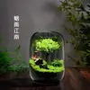 Garrafa Árvore da Vida Paisagem em Miniatura Criativa Planta em Vaso para Desktop Verde para Escritório Bonsai Pronto Fácil de Cuidar Musgo
