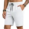 2026 Estación Independiente Transfronterizo Europeo y Americano Verano Hombres Jacquard Transpirable Running Deportes Rayados Casual Pantalones Cortos para Hombres