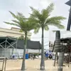 Árbol de coco artificial a gran escala, fibra de vidrio, resistente a los rayos UV, apto para uso en exteriores e interiores, ideal para hoteles, centros comerciales y diseño de paisajes tropicales
