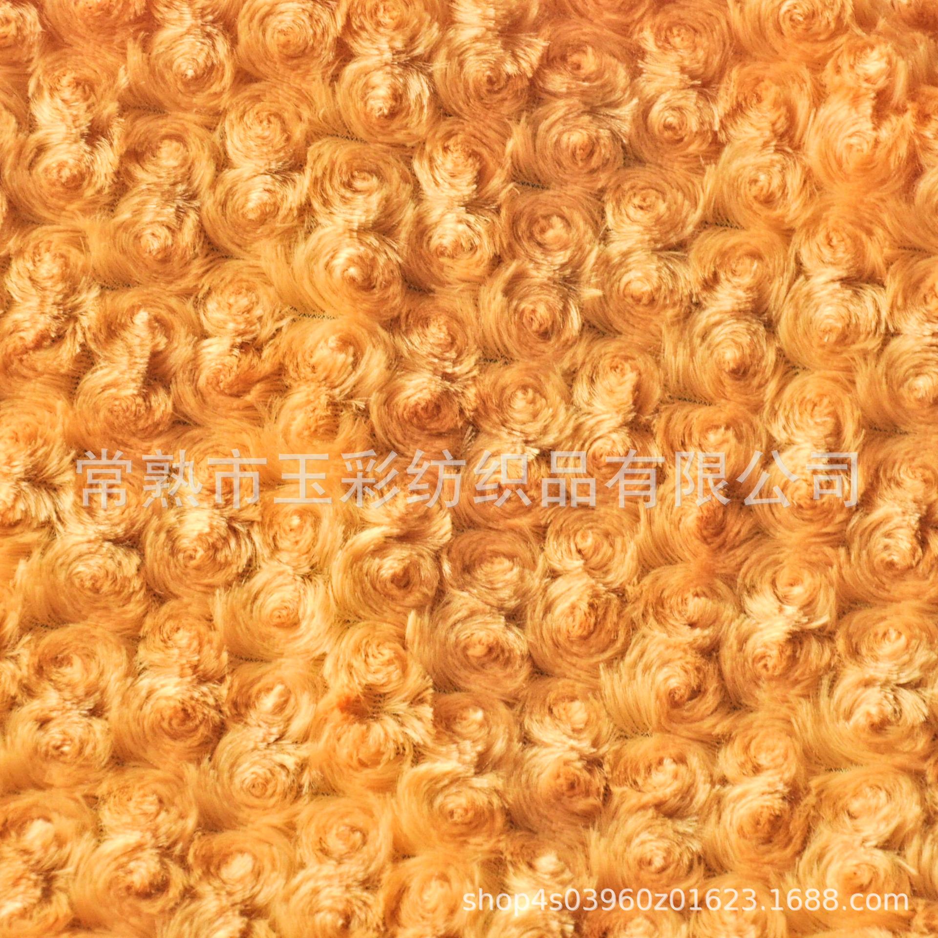 CSC_5705a