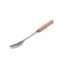 Juego de Tenedores para Fruta de Lujo de Cerámica y Acero Inoxidable Cuidadosamente Seleccionado con Frasco de Almacenamiento, Alto Valor Estético para Uso Doméstico, Adecuado para Postres y Brochetas de Fruta