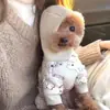 Nuevos gorros de punto de invierno para mascotas, incluyendo perros y gatos, con diseños para Bulldogs Franceses y otras razas, ofreciendo calidez y protección contra el frío, y con un estilo lindo y moderno.