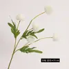 Amazon Cor de Outono 5 Cabeças Bola de Dente-de-Leão Crisântemo Arranjo de Flores Artificiais Decoração Cena Floral Decoração de Casamento Flores Artificiais