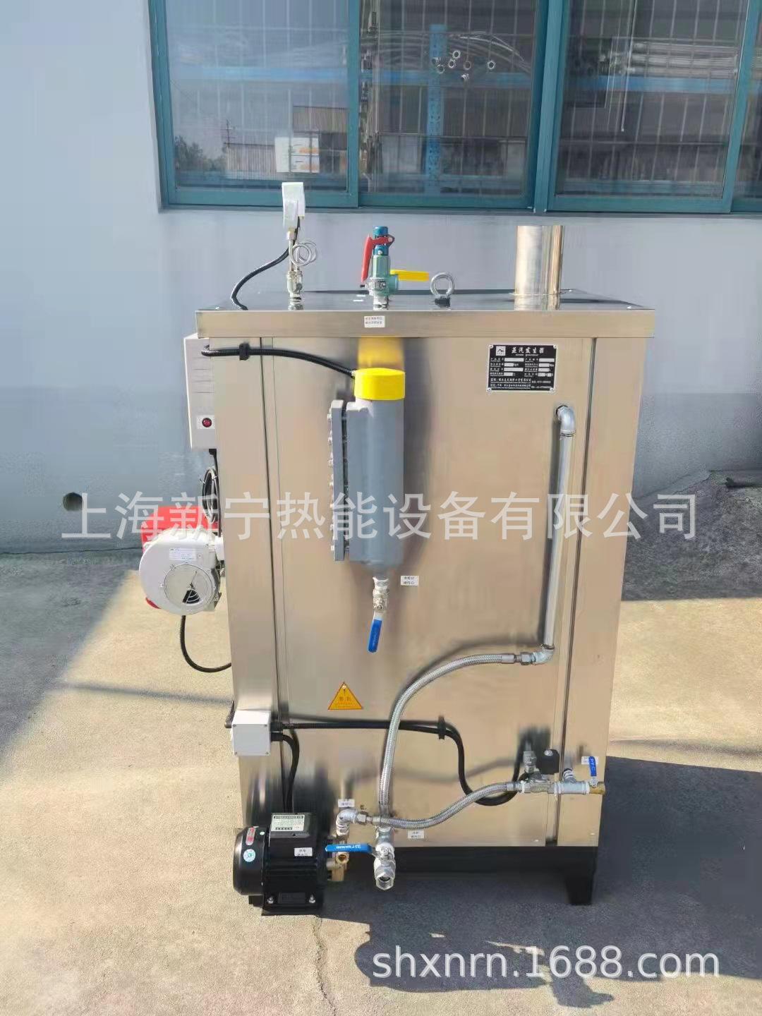新宁燃油燃气蒸汽发生器 (8).jpg