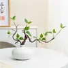Planta Nandina Aterrizaje Planta en Maceta Interior Grande Biónica Verde Adornos Sala de Estar Lujo Ligero Flor Decorativa Árbol Falso